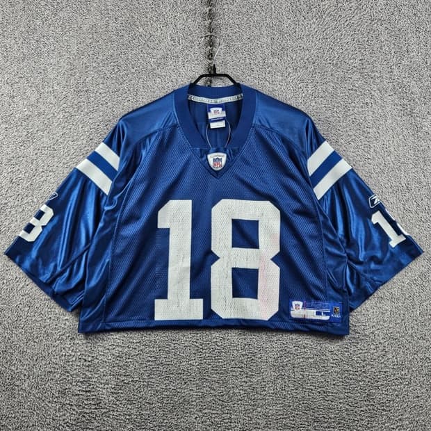 리복 NFL 풋볼 져지 크롭 커스텀 ( L ) / 12747