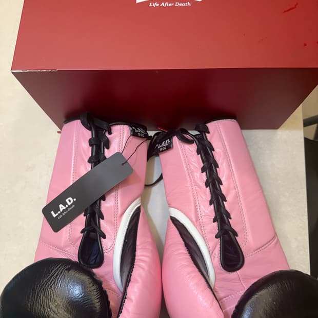 라드 글러브 16oz