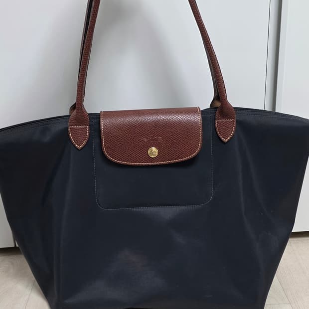 롱샴 라지 사이즈