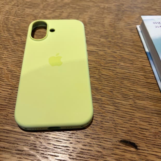 아이폰 17 정품 케이스 