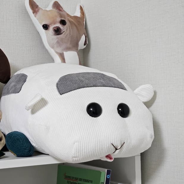 뿌이뿌이 모루카 시로모 대형인형 급처🐭