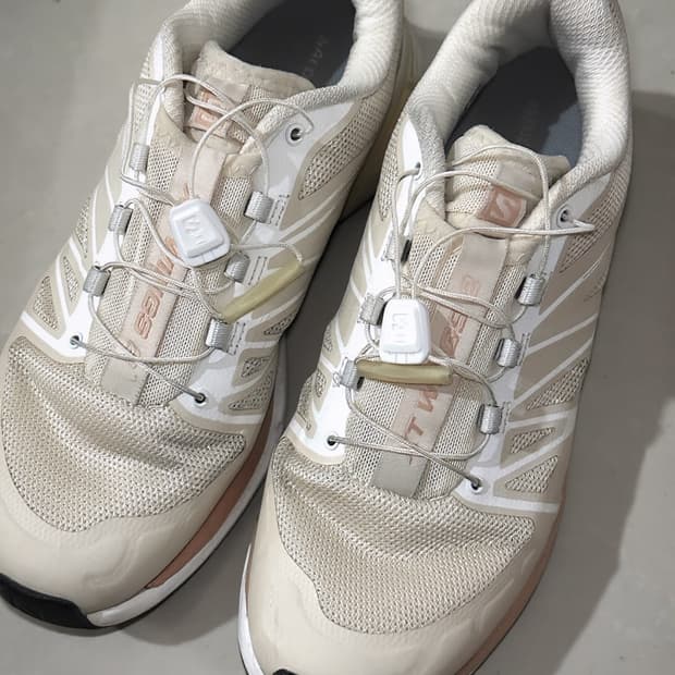 살로몬  XT-윙스 2 터틀도브 250