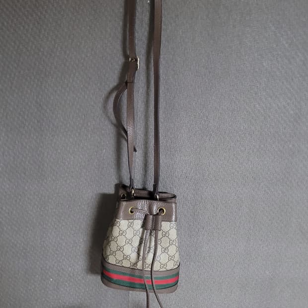 구찌 오디피아 버킷백