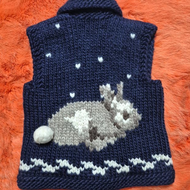 FAB 캐나다 토끼 코위찬 베스트 키즈 120