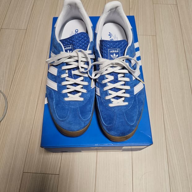 [285] 가젤 인도어 블루버드 