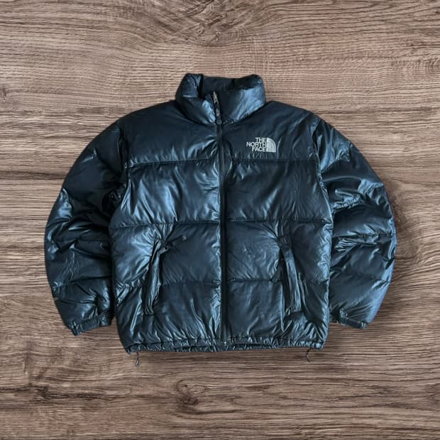 The North Face nuptse 700 jacket
