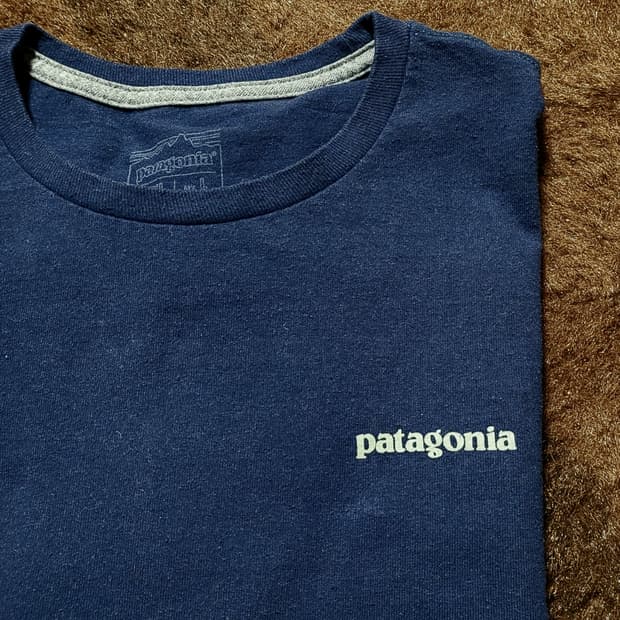 파타고니아 남성용 반팔 티셔츠(L)