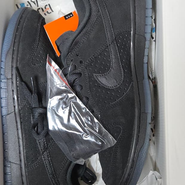 언디핏 덩크 260