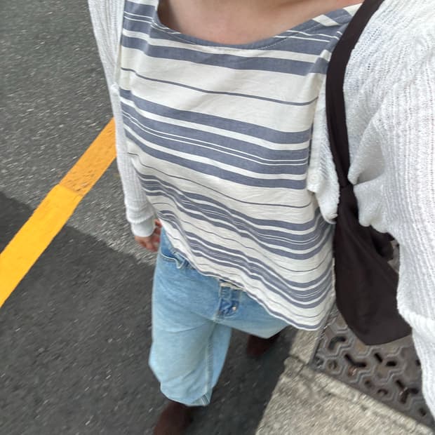blue stripe blouse