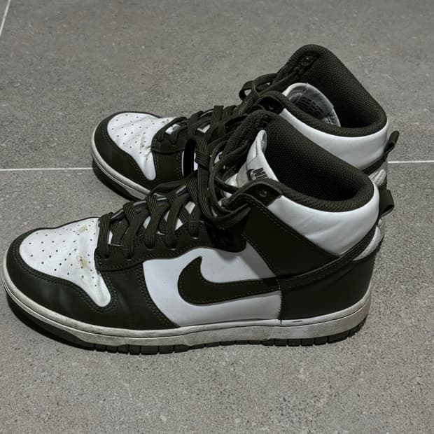 나이키 덩크 250