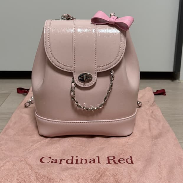 카디널레드 하우아백 뮤트핑크 + 리본백참