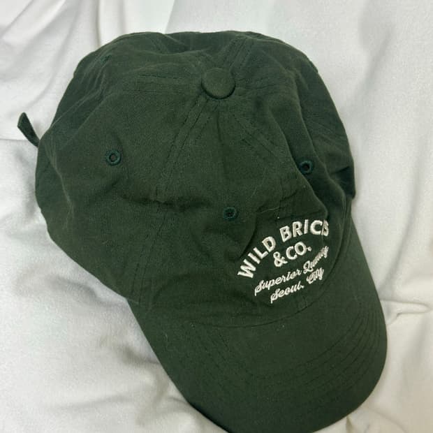 Wild Bricks Logo Cap green