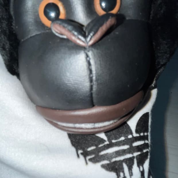 아디다스 제레미스캇 고릴라 245 새상품