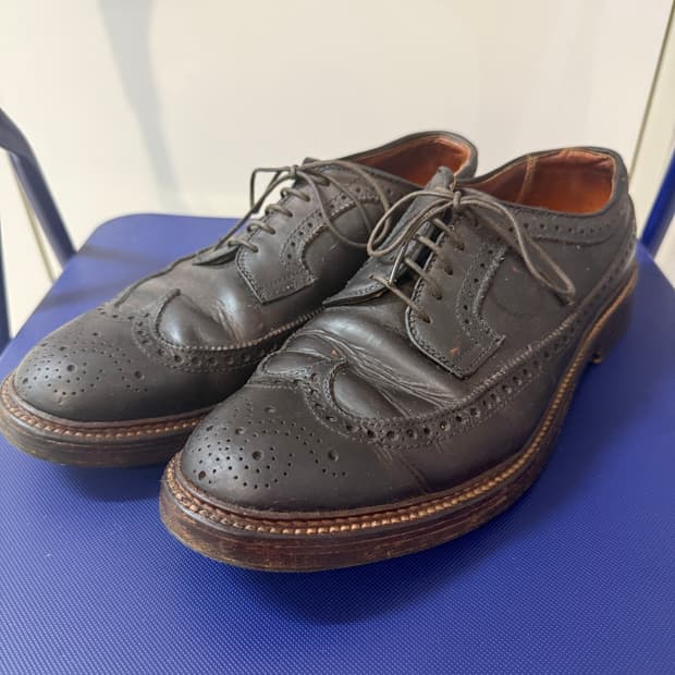 Alden Longwing Blucher Brown Chromexcel