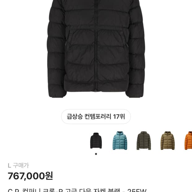 cp컴퍼니 크롬r 고글패딩