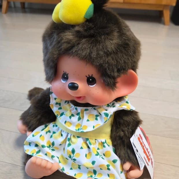 세키구치 몬치치 레몬 라지