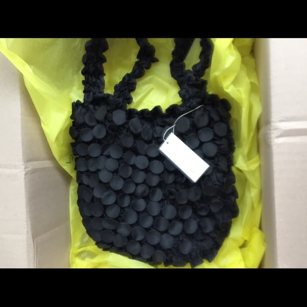 도트 플리츠 백