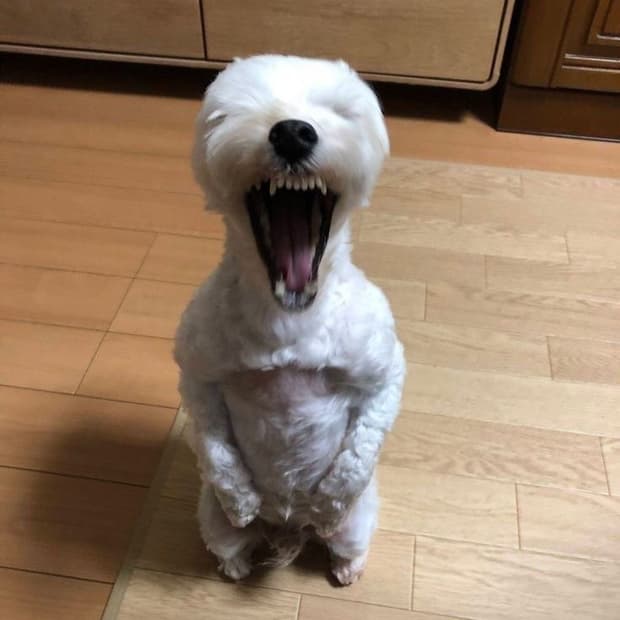 결제창