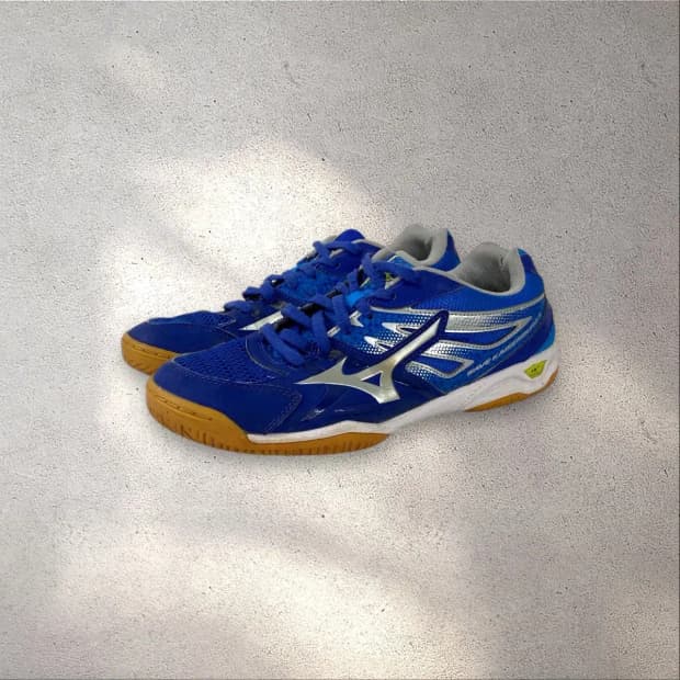 [270] 미즈노 웨이브 카이저부르크 5 블루(No.401)