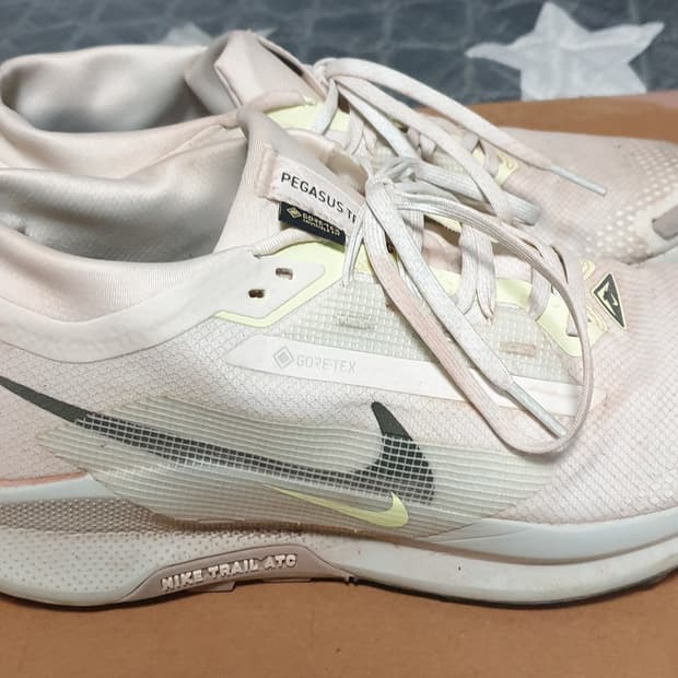나이키 고어텍스 페가수스 트레일5 런닝화 겸 트레킹화 (275)