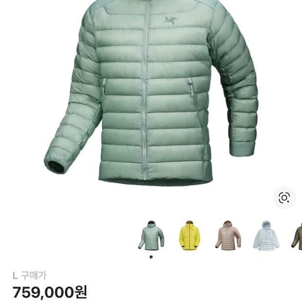 (새상품)아크테릭스 세륨 스톤그린 L