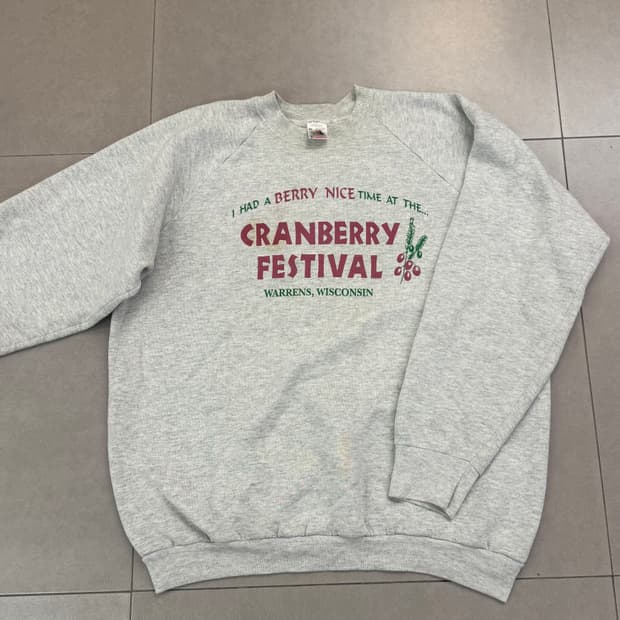 90‘s 빈티지 Fruit of the Loom 스웨트셔츠 XL