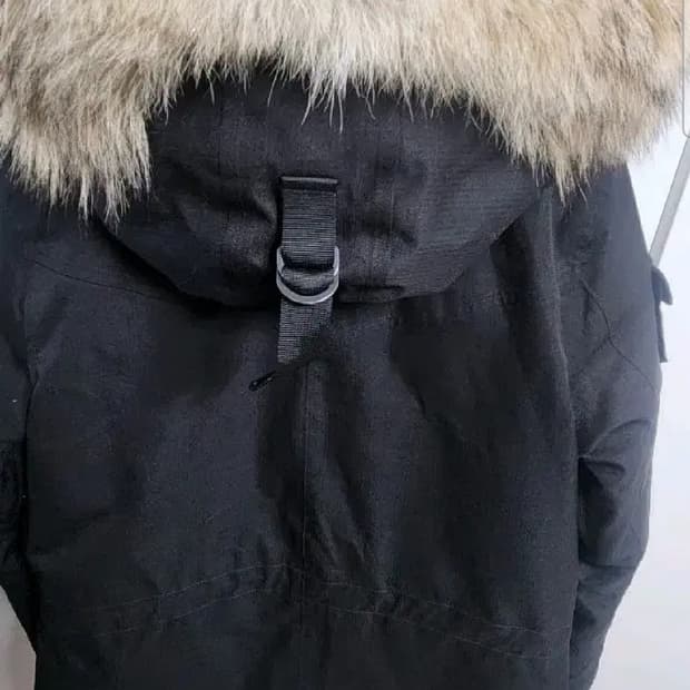 노비스 쉬라 패딩