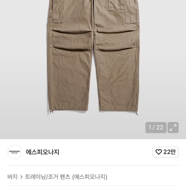 Espionage cargo pants