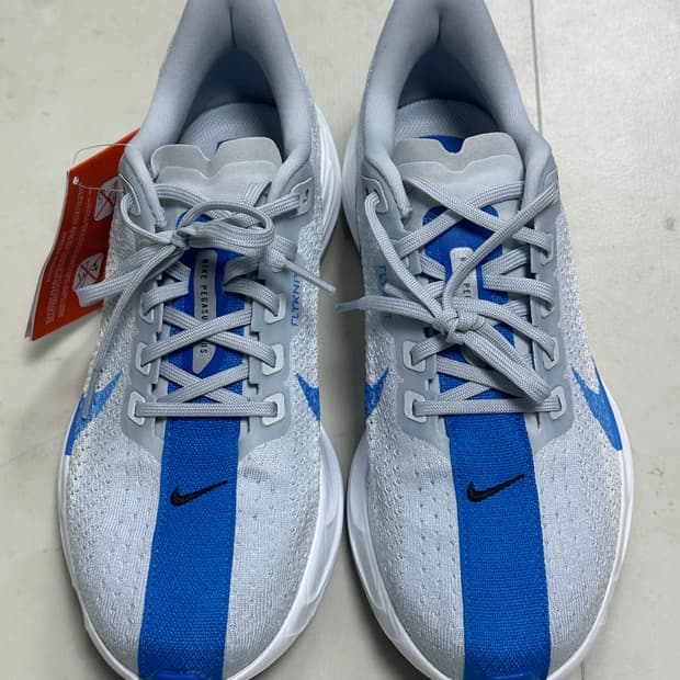 [260] 나이키 페가수스 플러스