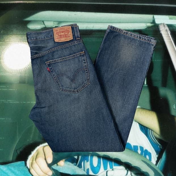 리바이스 550 (36) AB1829