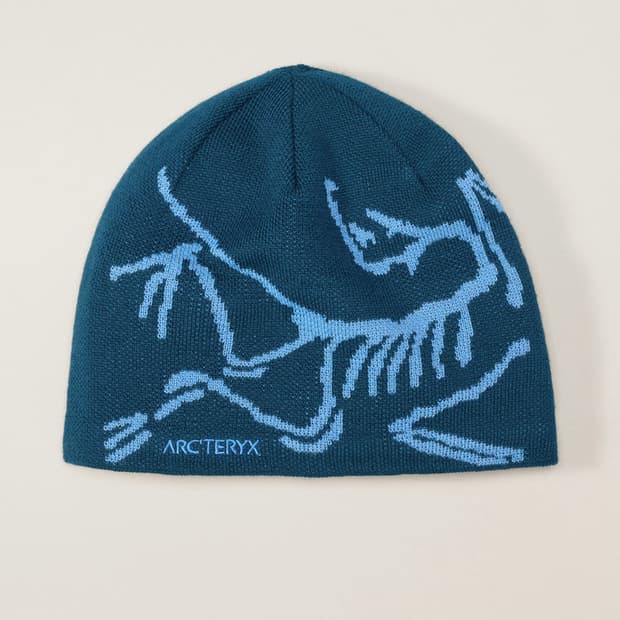 아크테릭스 버드 헤드 토크 페놈비니