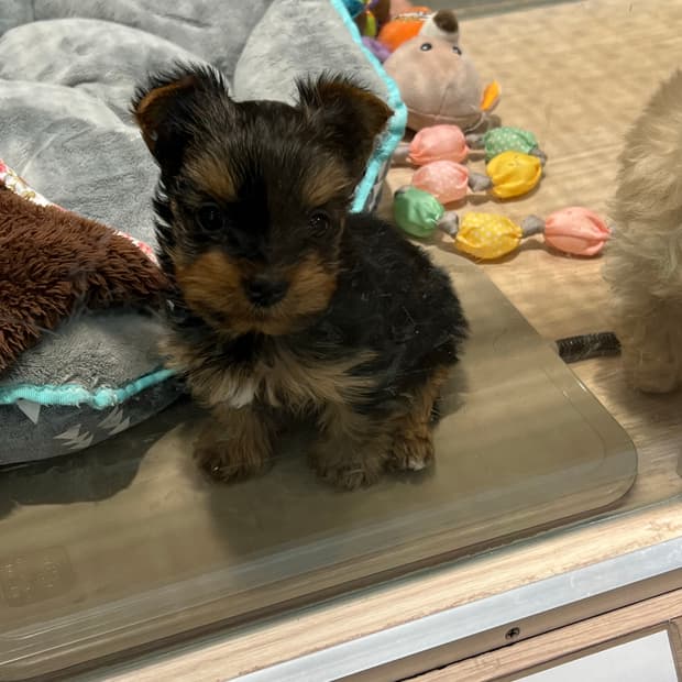 1만+2만원 할인 행사🛍️🚨