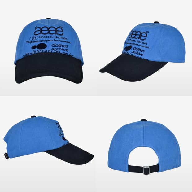 aeae WEB LOGO 5 PANNEL BALL CAP