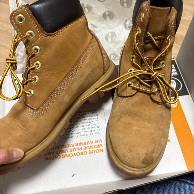 팀버랜드 6인치 남성 250