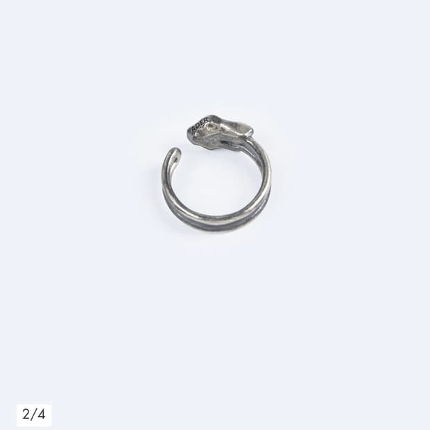 아더에러 Destroyed ring