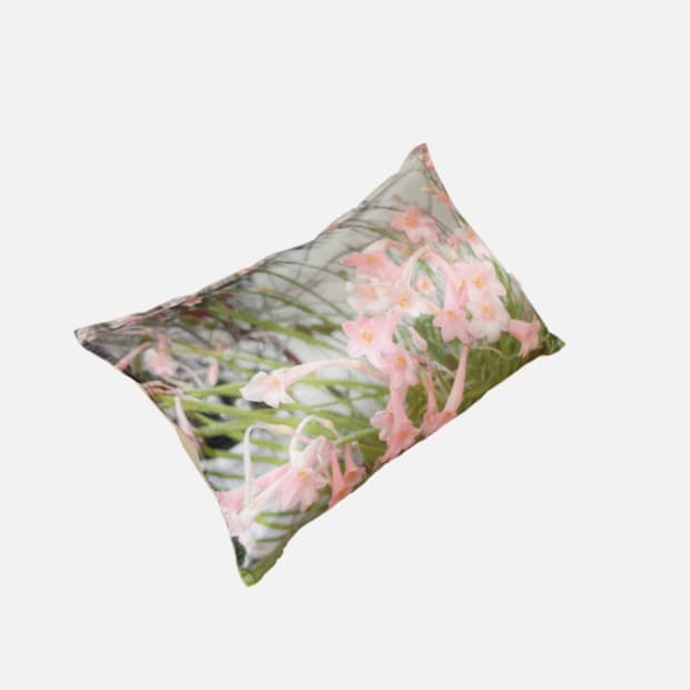 이수키아트 X 규린 콜라보 베개