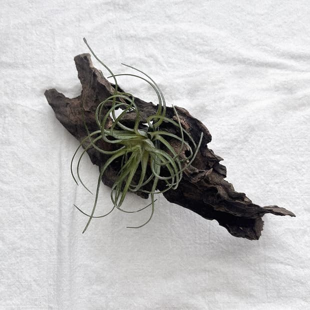 wood object 036