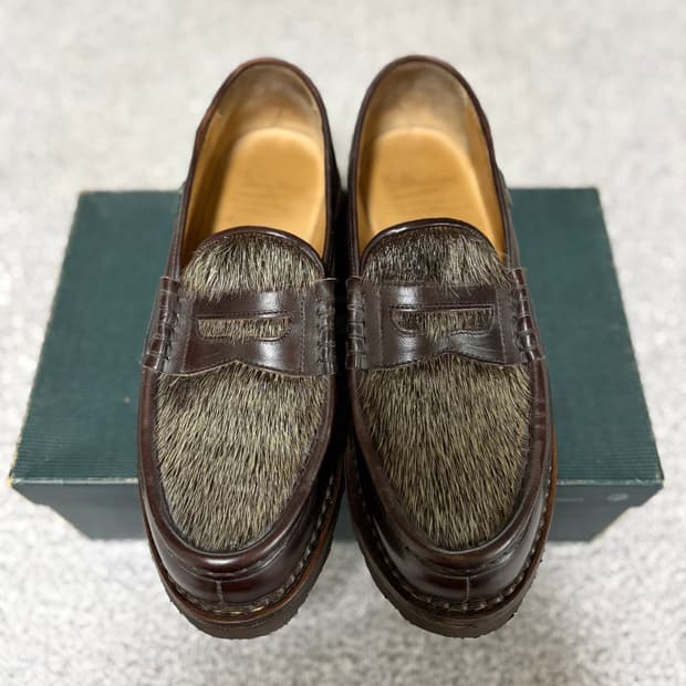 파라부트 레임스 PHQ 물범 UK 8