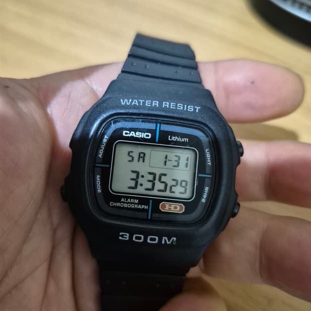 Casio dw300