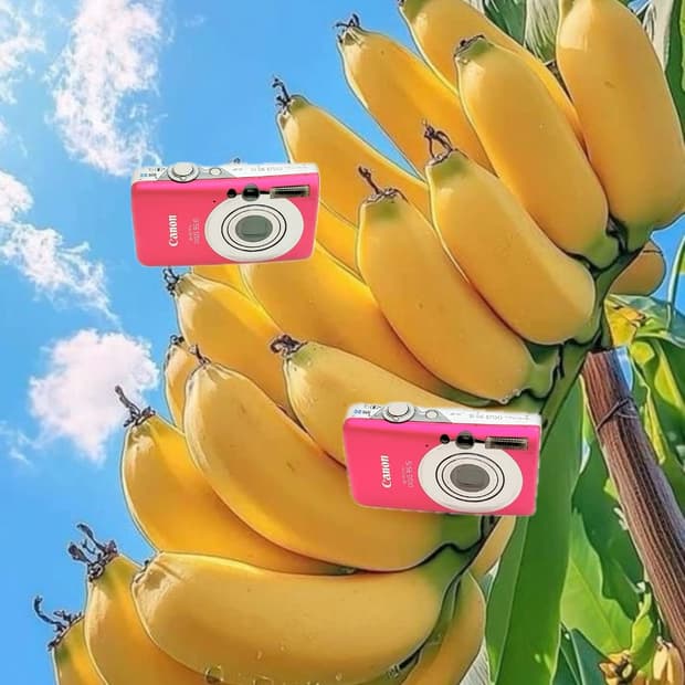 미우미우&초희귀!) Canon IXUS 95 IS 디카 카메라