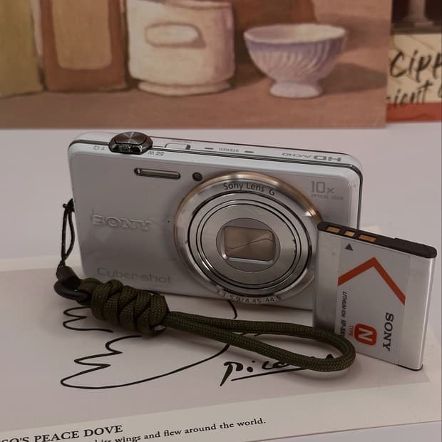 소니SONY Cyber-shot DSC-WX100