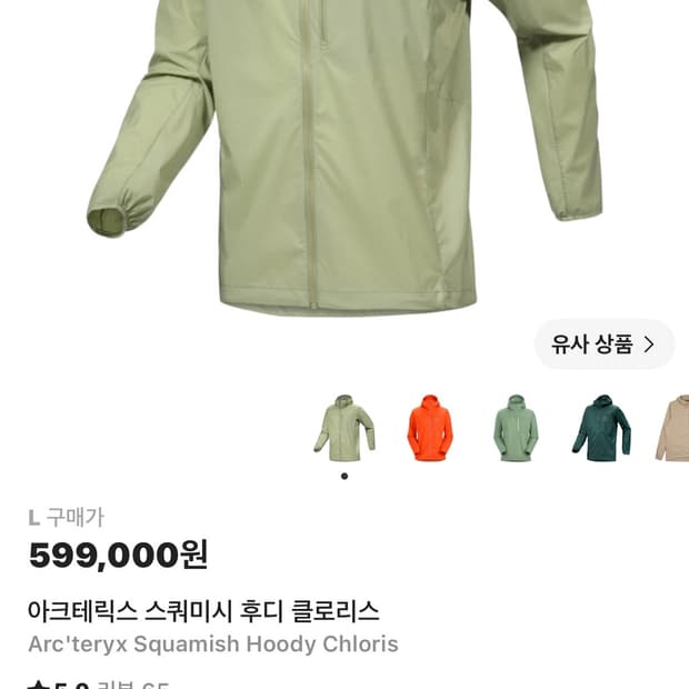 아크테릭스 스쿼미시 후디 클로리스