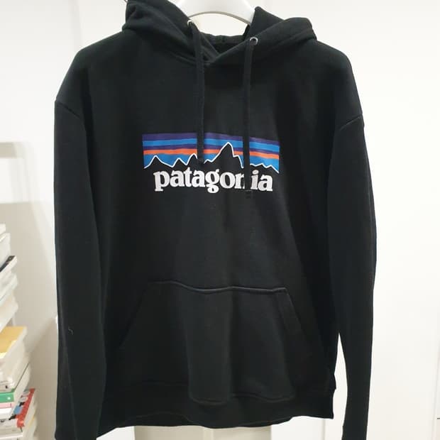 파타고니아 후드 상의
