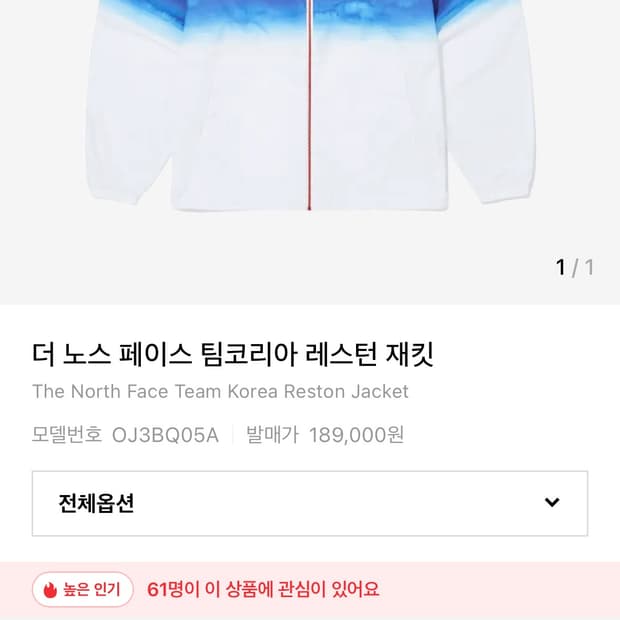 더노스페이스 팀코리아 레스턴자켓