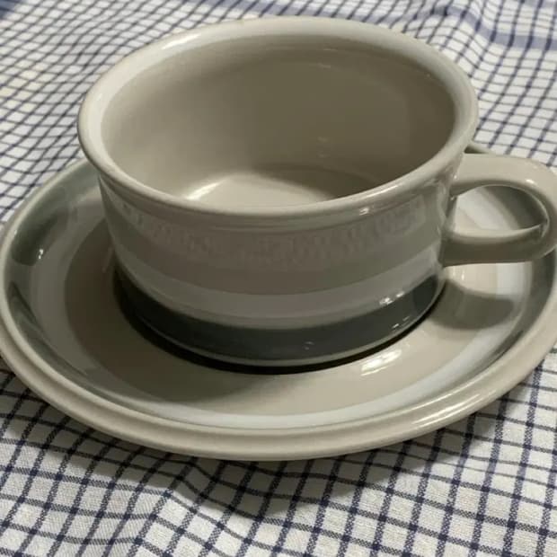 아라비아핀란드 살라 티컵 