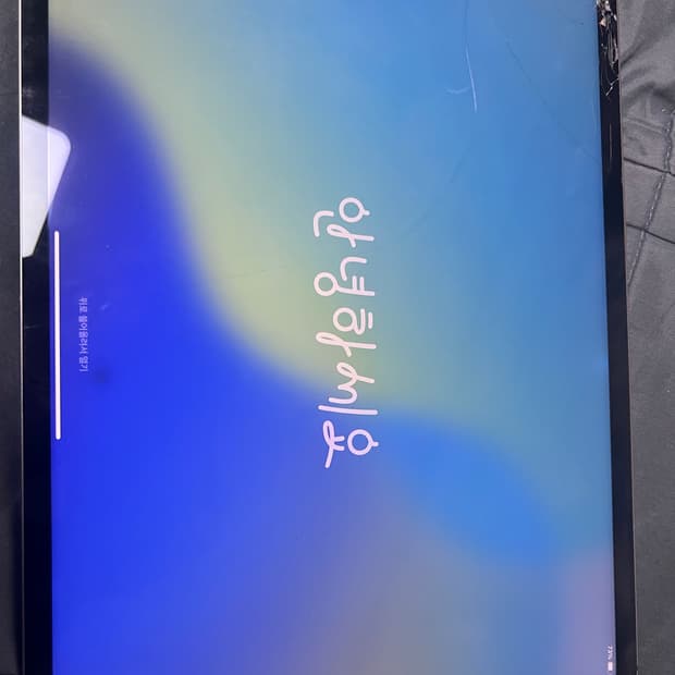 아이패드프로12.9 5세대 셀룰러 256