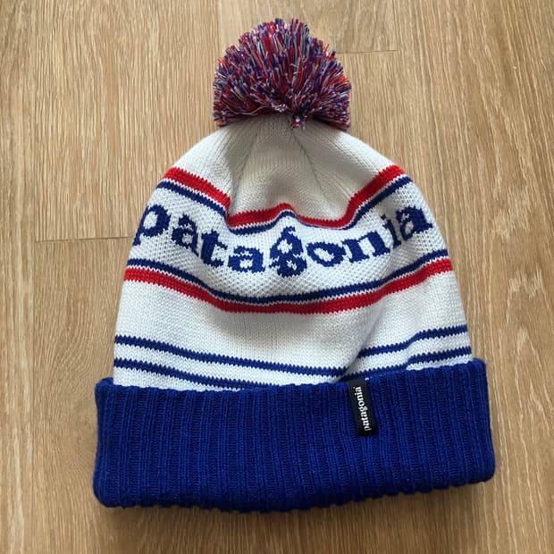 파타고니아 비니