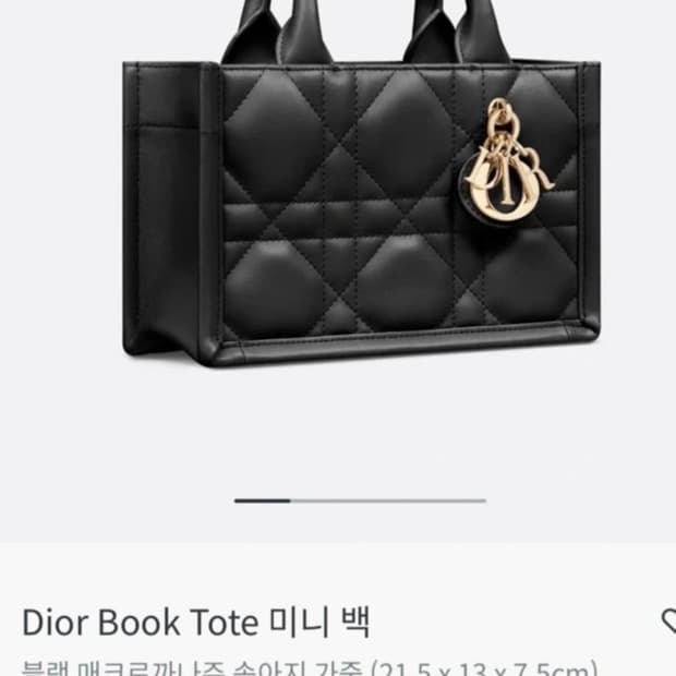 디올 북토트 미니 백 블랙
