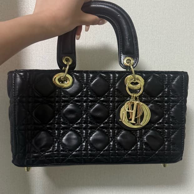 디올 레이디백