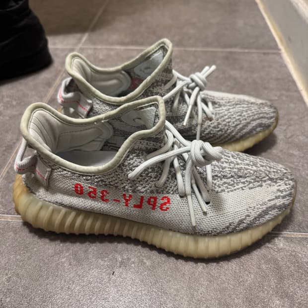 이지 350 쿨거 240사이즈